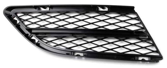 BMW Foglight Grille - Passenger Side 51117198908